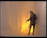 MOSTRA RAGNATELE CON LUCE+MOSTA 2005 A 24 (2)