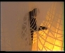 MOSTRA RAGNATELE CON LUCE+MOSTA 2005 A 24 (2)