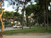 2010-26-08-alsos-nea-smyrnis-16