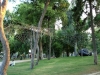 siaterli-3-alsos-n-smyrnis