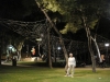 siaterli-4-alsos-n-smyrnis