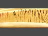 2005-spartoi