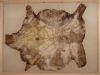 1997-percorsi-mappa_-120x160-leather
